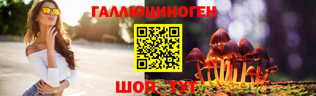 Галлюциногенные грибы Psilocybe  Вход с VPN  Владивосток 